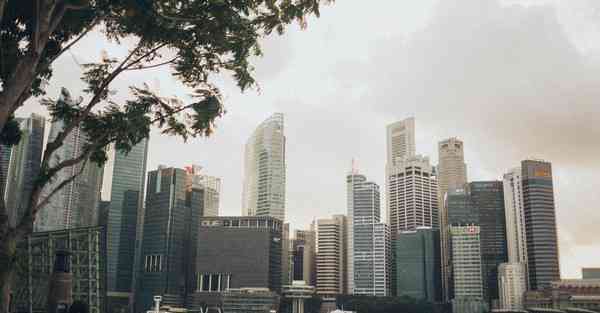 四川统考专升本准考证号