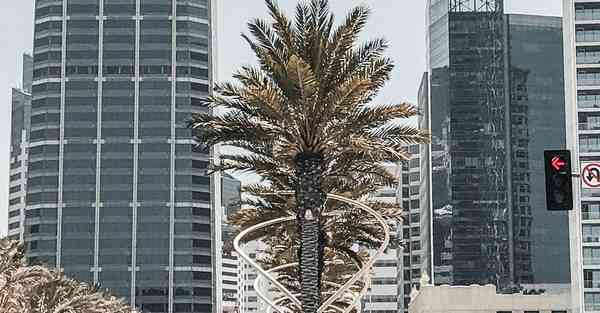 四川交院专升本教材