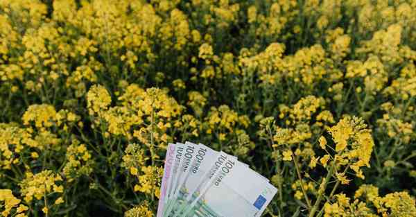 四川师范专升本难度系数