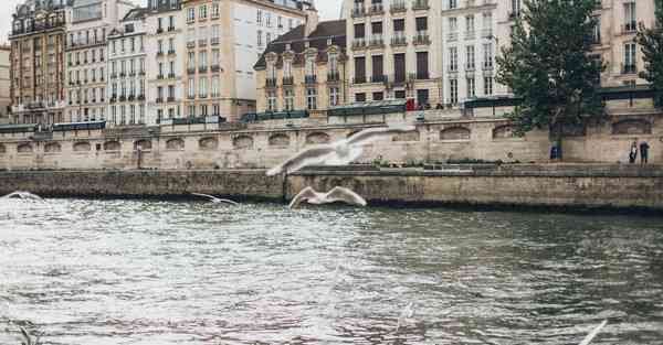 四川成都专升本的要求条件