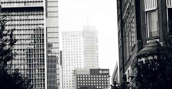 四川专升本考号在哪里