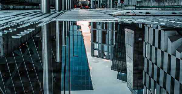 四川专升本统招了吗