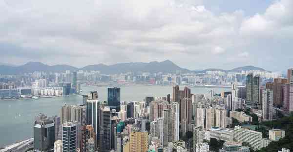 四川专升本查分激动视频