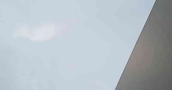 自贡四川大学专升本