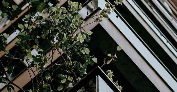 四川老师免费专升本政策